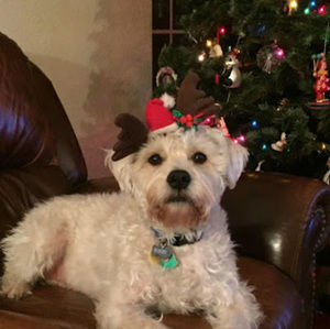 Meet your Posher, Sandra